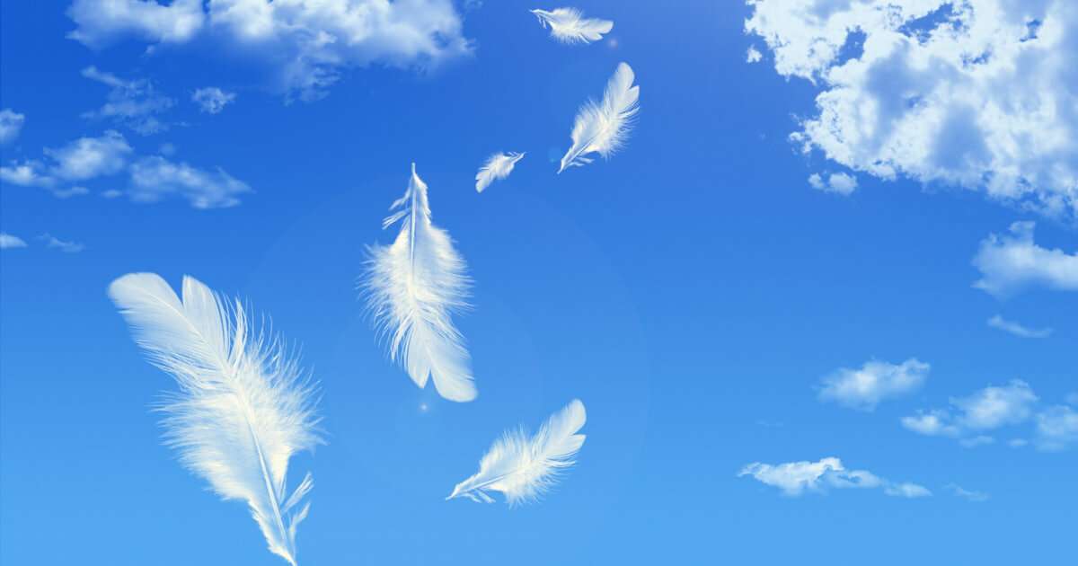 天使の羽と青空